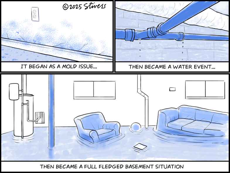 Basement situation